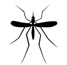 xsser logo